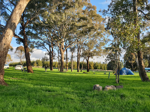 Macquarie Woods Forestry Reserve Campground Gallery - Australia