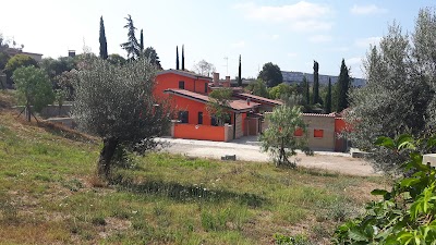 Photos of Nature Reserve Tenuta dei Massimi