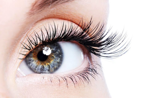 Primp Lash & Beauty - Thumbnail