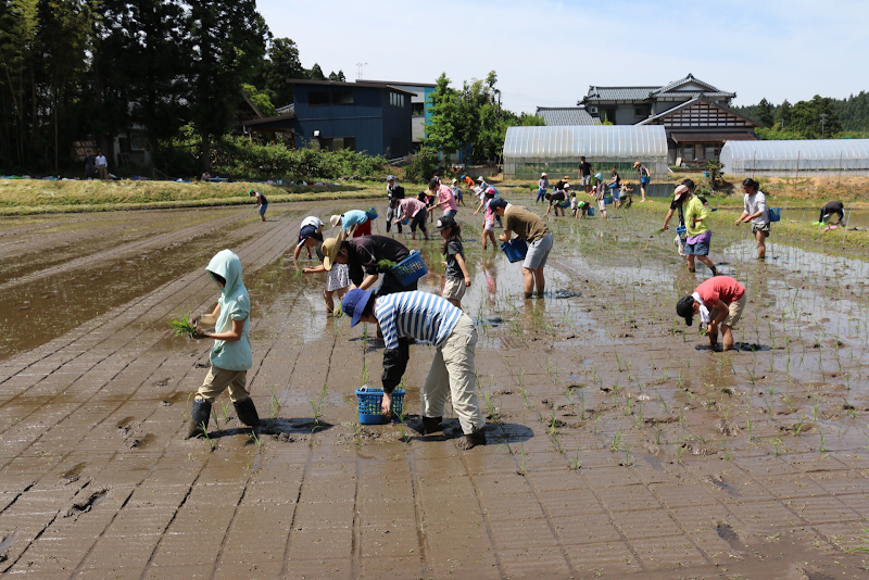 ささかみやまびこ農産