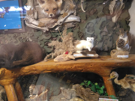 Taxidermy Hall Fame of NC - Thumbnail