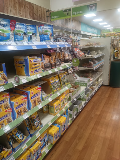 Pets at Home Norwich - Thumbnail