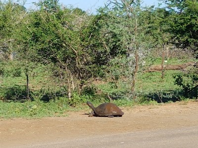 Photos of Lower Sabie