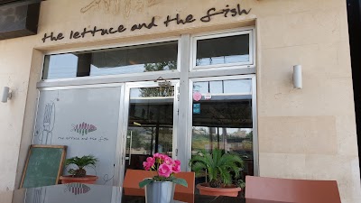 Photos of The Lettuce and The Fish