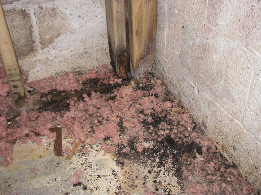 Avatar for Superior Basement Water Control and Remodeling