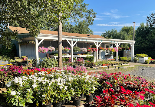 Randy's Dresher Farm Market - Thumbnail
