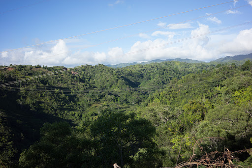 ʻEwa Forest Reserve