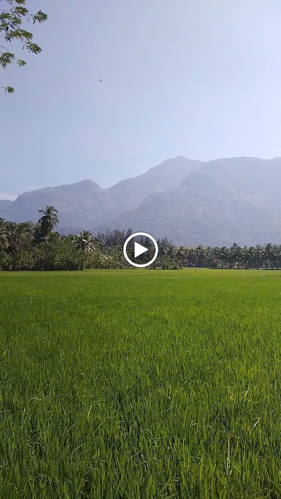 Vannaprastham Prana Vidya Vijnana Kendram