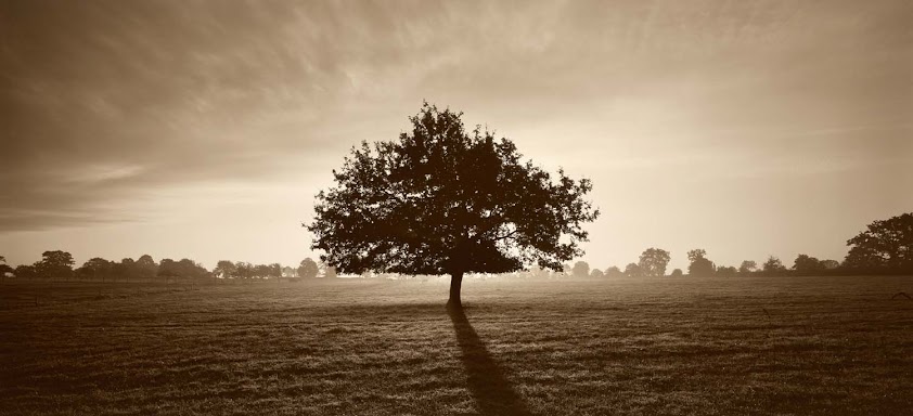 Image de Berthelot Edouard - Ostéopathe -Kinésithérapeute