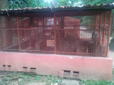 Photos of Biological Garden, University of Lagos