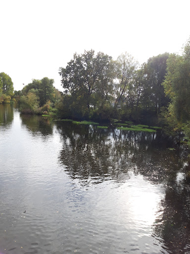 Pferdeinsel - Visual