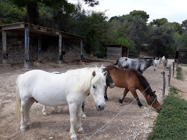 Les Ecuries de Palama