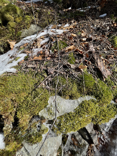 West Side TrailHead - Thumbnail