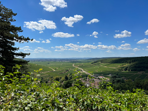Hill of Corton