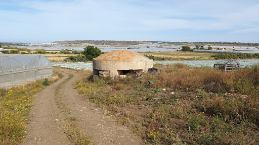 Bunker Scibini - Visual