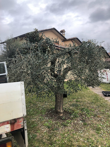 Gardenarts di Cristian Polidori - Thumbnail