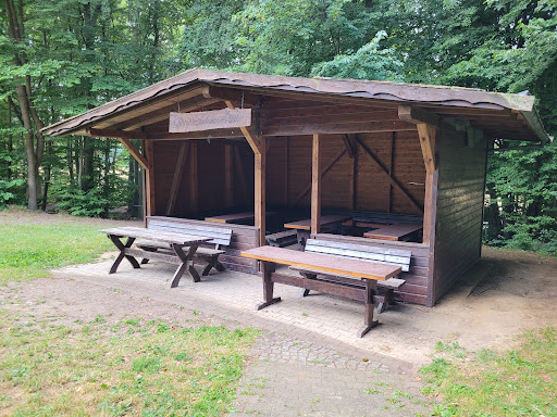 Schwarzes Holz - Thumbnail