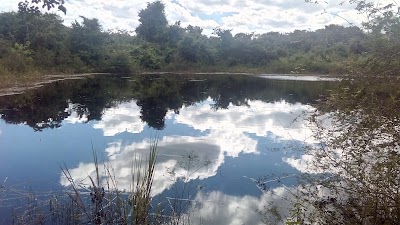 Photos of Puerta calakmul