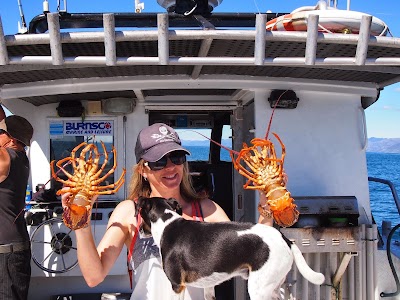 Photos of Kaikoura Fishing Tours