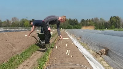 Boerderijwinkel van der Heijden groente en fruit, asperges, aardbeien, groente en fruit