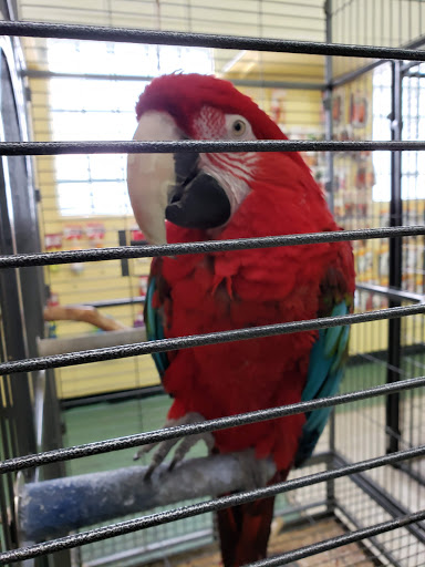 The Pet Supply