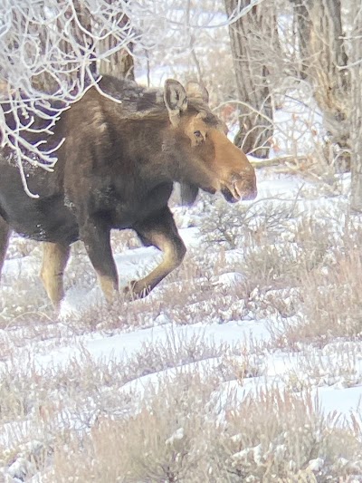 Teton Excursions