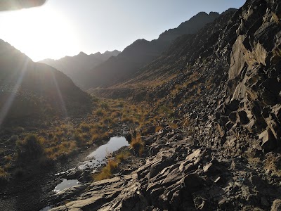 Zahir Fawares sports team