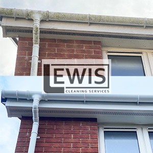 Lewis Cleaning Services