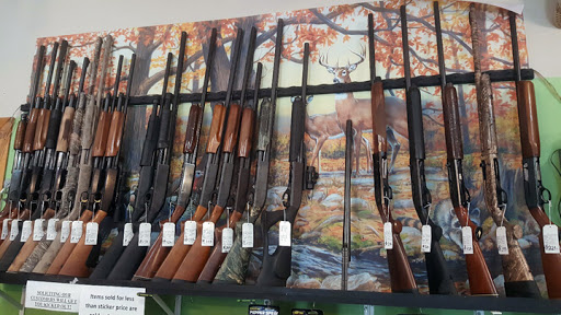Marion Guns & Gold - Thumbnail