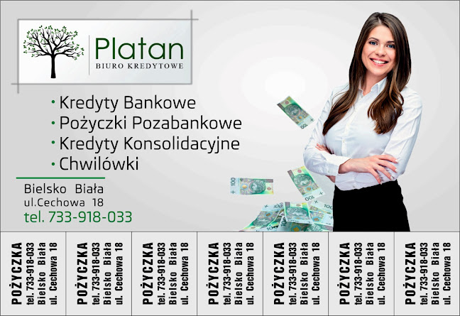 Biuro Kredytowe Platan - Inny