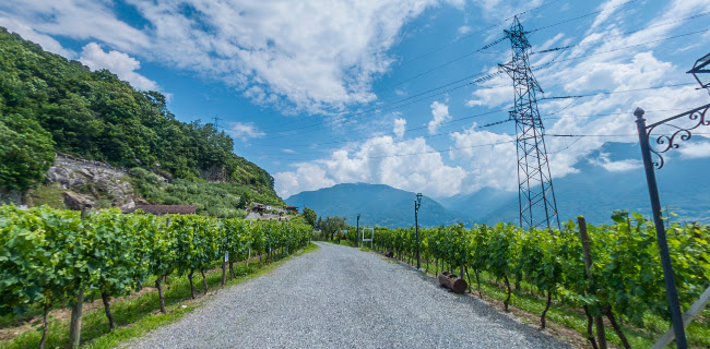 Kommentare und Rezensionen über Fattoria L'Amorosa