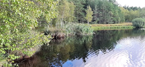 Rätsepa järv