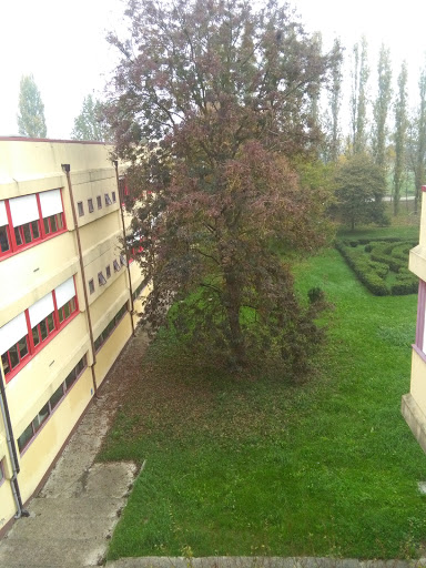 Fratelli Navarra Agricultural Technical Institute - Thumbnail