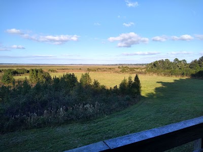 Alachua Savannah Visitor Center & Tower