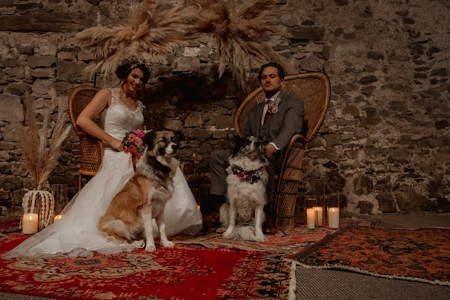 Pawfect Occasions - Event Planner