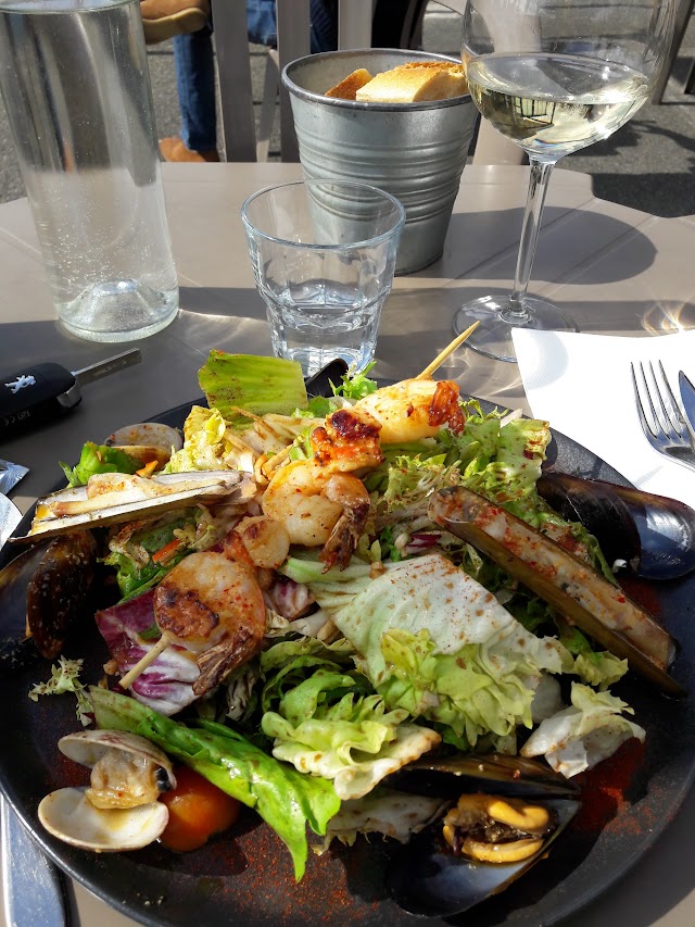 Quand les Moules Auront des Dents