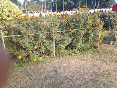 Photos of Tajhat Rajbari