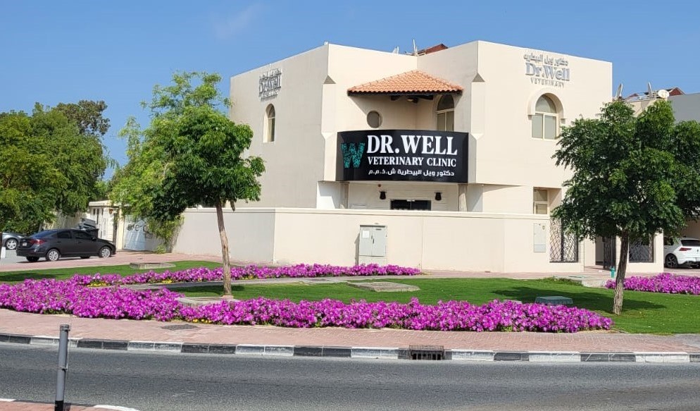 Pure Life Veterinary Clinic Dubai - صورة 3