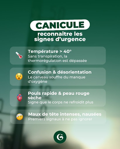 🌡️ Un coup de chaleur : ce n'est pas juste "avoir trop chaud".

C'est une urgence médicale. Et ça peut arriver plus vite qu'on ne le croit, surtout chez les personnes âgées, les enfants et les personnes sous traitement.

💡La différence entre un coup de chaleur et un simple coup de fatigue ? La température dépasse 40°C et le corps ne transpire plus. Il a perdu sa capacité à se refroidir.

En cas de doute ➡️ appelez le 15 immédiatement.
Et pour toutes vos questions sur la chaleur, vos médicaments ou votre hydratation cet été, notre équipe est là. 💚