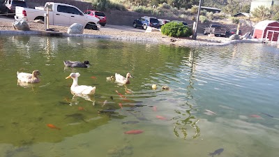 Photos of The Resort on Mt Charleston