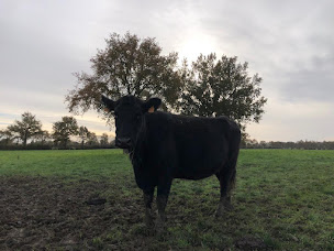 Photo n°24 de Terres de Mars à Petit-Mars (Maraîcher)