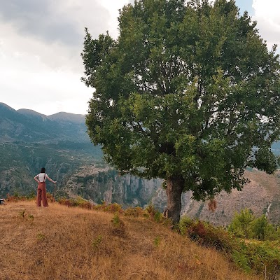 Bujtina Mbi Kanion(Guesthouse on Canyon)