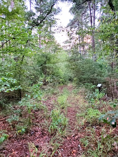 Prairies & Pineywoods Wild Life Trail East - Site PPWE 117