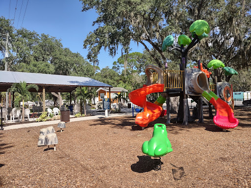 FunNSun Sarasota - Thumbnail