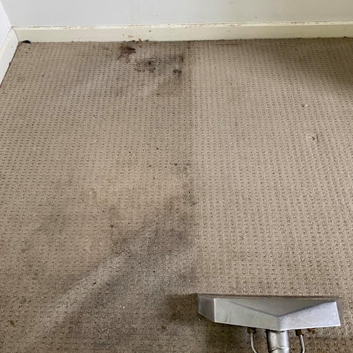 Advanced Carpet Restoration - Thumbnail