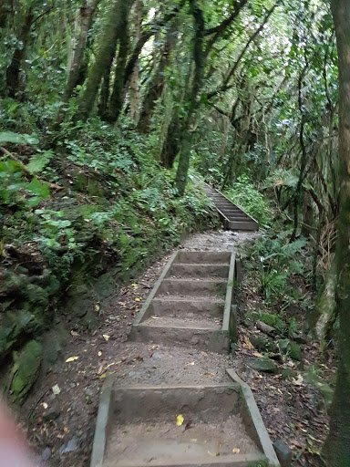 Rangituhi Colonial Knob Parkland - Thumbnail