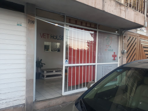 VetHouse - Visual