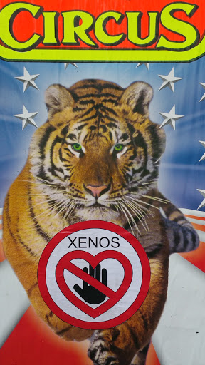 xenos link - Visual