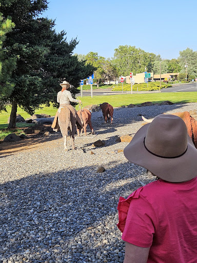 Pendleton Bronze Trail - Pendleton Statues - Visual