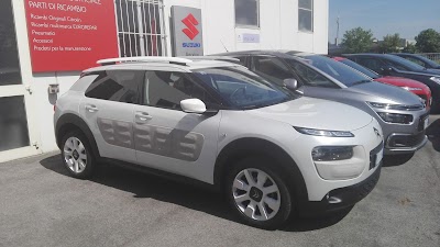 Photos of P.auto